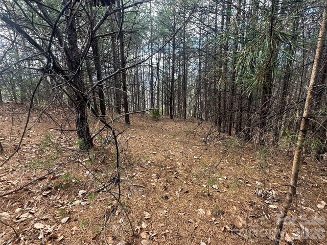 0000 Boulder Ridge, Lake Lure, NC 28746