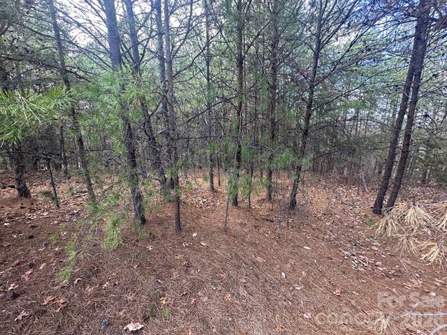 0000 Boulder Ridge, Lake Lure, NC 28746