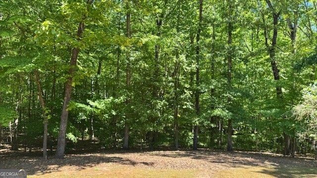7032 Camp Falls Court, Winston, GA 30187
