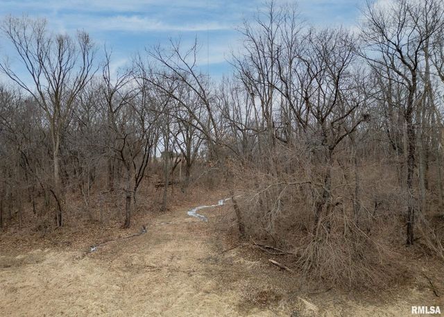 9721 234TH Street North, Port Byron, IL 61275