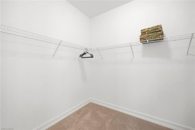 18713 Lake Hammock DR, Naples, FL 34114