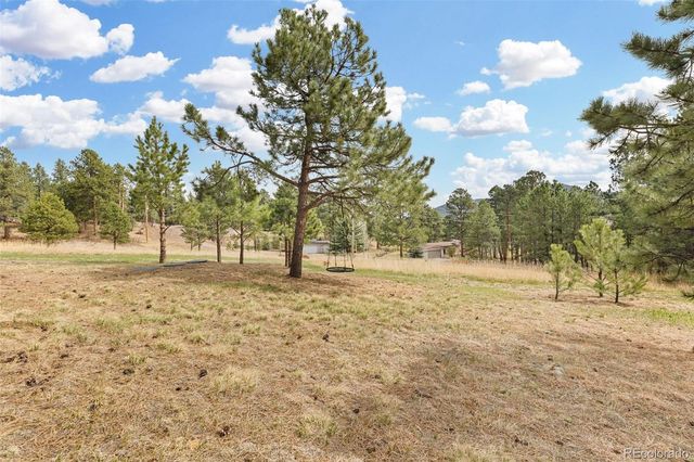30281 Peggy Lane, Evergreen, CO 80439