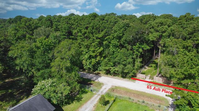 65 Ash Place, New Caney, TX 77357