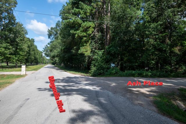 65 Ash Place, New Caney, TX 77357