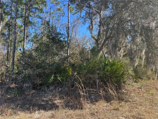 GRACE AVENUE, Deland, FL 32720