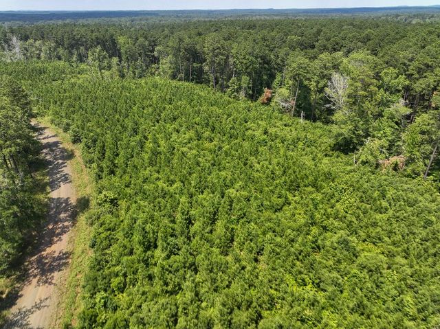 02 Fire Tower Road, Hemphill, TX 75948