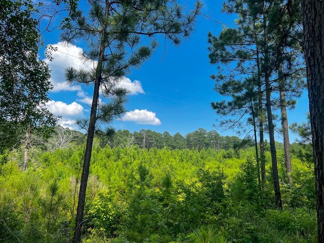 02 Fire Tower Road, Hemphill, TX 75948