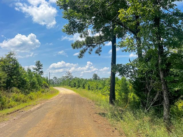 02 Fire Tower Road, Hemphill, TX 75948