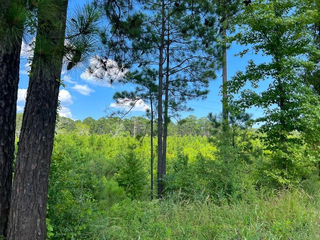 02 Fire Tower Road, Hemphill, TX 75948