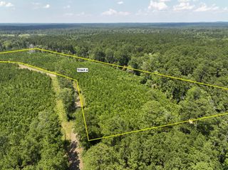 02 Fire Tower Road, Hemphill, TX 75948