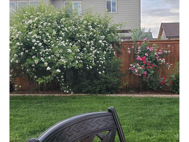 3477 Janus Dr, Loveland, CO 80537