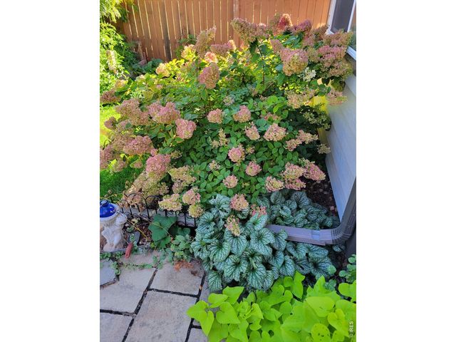 3477 Janus Dr, Loveland, CO 80537