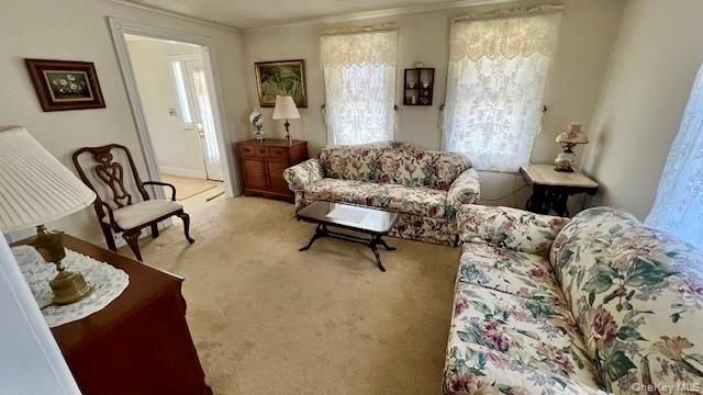 4 Sandhage Drive, Pearl River, NY 10965