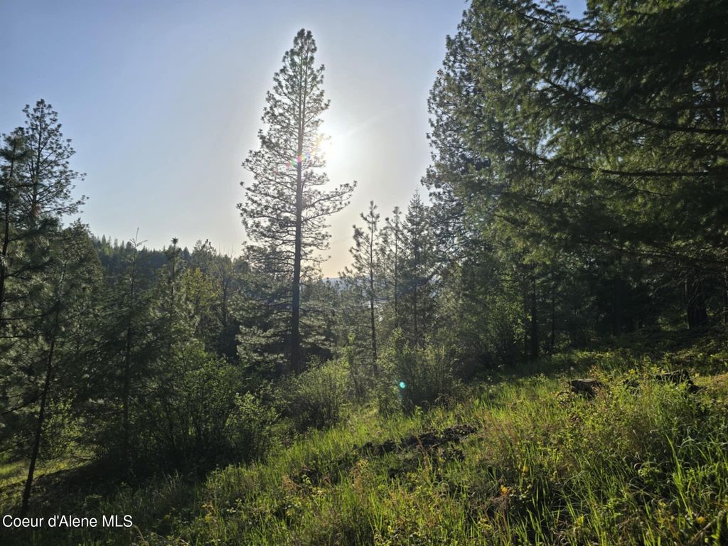 NKA Deer Rd, Harrison, ID 83833 photo 2
