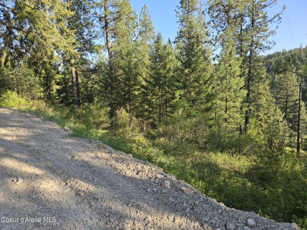 NKA Deer Rd, Harrison, ID 83833 photo 4