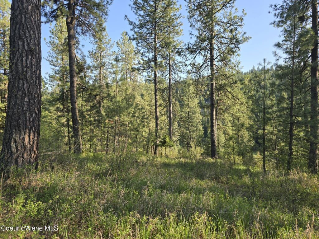 NKA Deer Rd, Harrison, ID 83833 photo 5