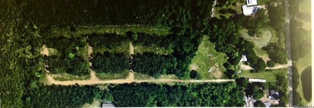 30393 Milton Rd, Walker, LA 70785