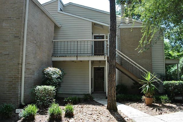 3500 Tangle Brush Drive 13, The Woodlands, TX 77381