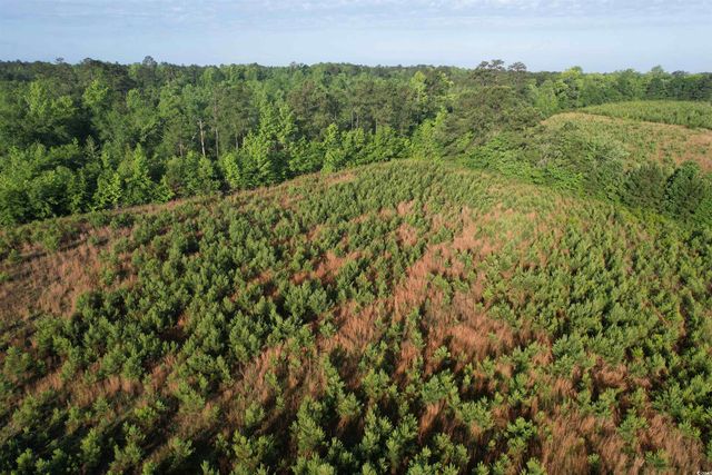 7 Acres-TBD Old Pee Dee Rd., Hemingway, SC 29554