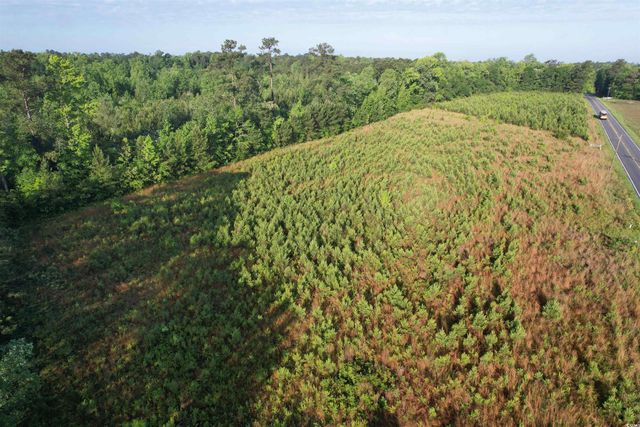 7 Acres-TBD Old Pee Dee Rd., Hemingway, SC 29554