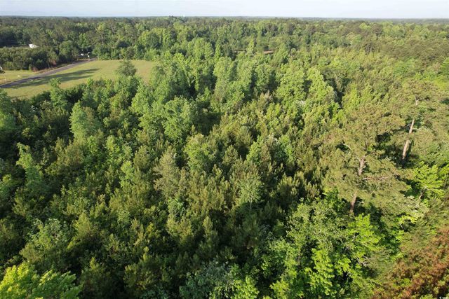 7 Acres-TBD Old Pee Dee Rd., Hemingway, SC 29554