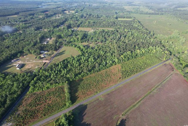 7 Acres-TBD Old Pee Dee Rd., Hemingway, SC 29554
