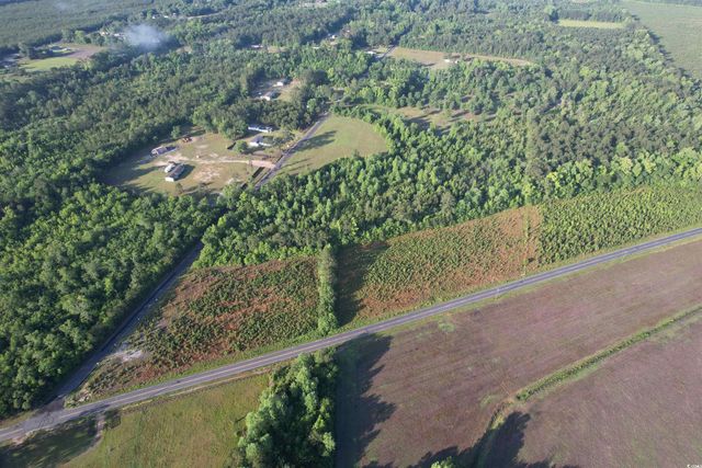 7 Acres-TBD Old Pee Dee Rd., Hemingway, SC 29554