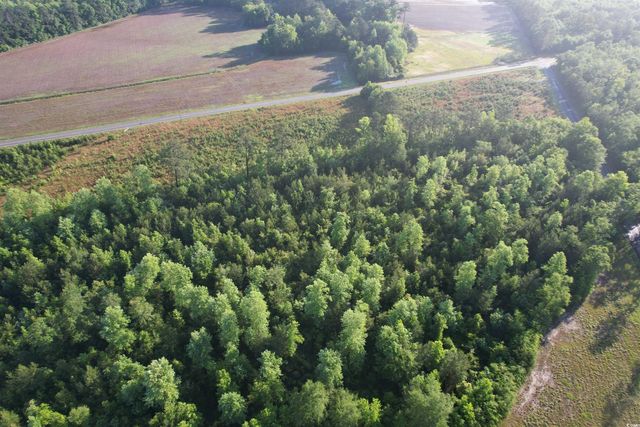 7 Acres-TBD Old Pee Dee Rd., Hemingway, SC 29554