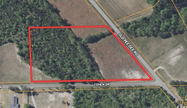 7 Acres-TBD Old Pee Dee Rd., Hemingway, SC 29554