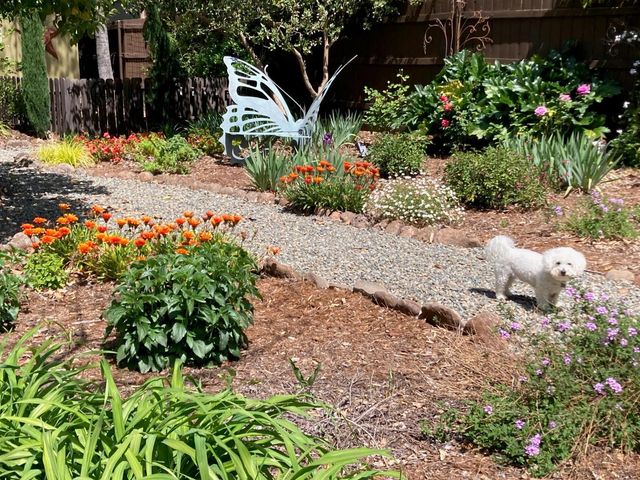 6200 Mahala Dr, Carmichael, CA 95608