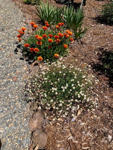 6200 Mahala Dr, Carmichael, CA 95608