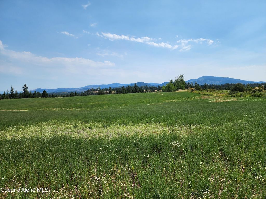 7375 E SUNRISE DR, Harrison, ID 83833 photo 29