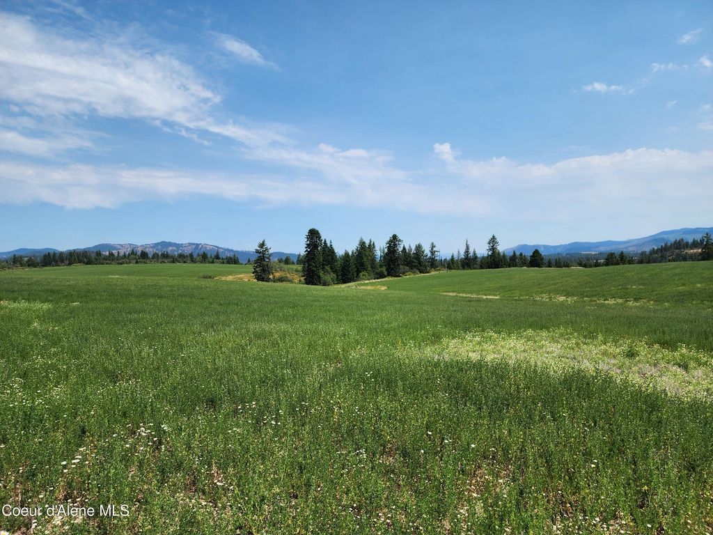 7375 E SUNRISE DR, Harrison, ID 83833 photo 30