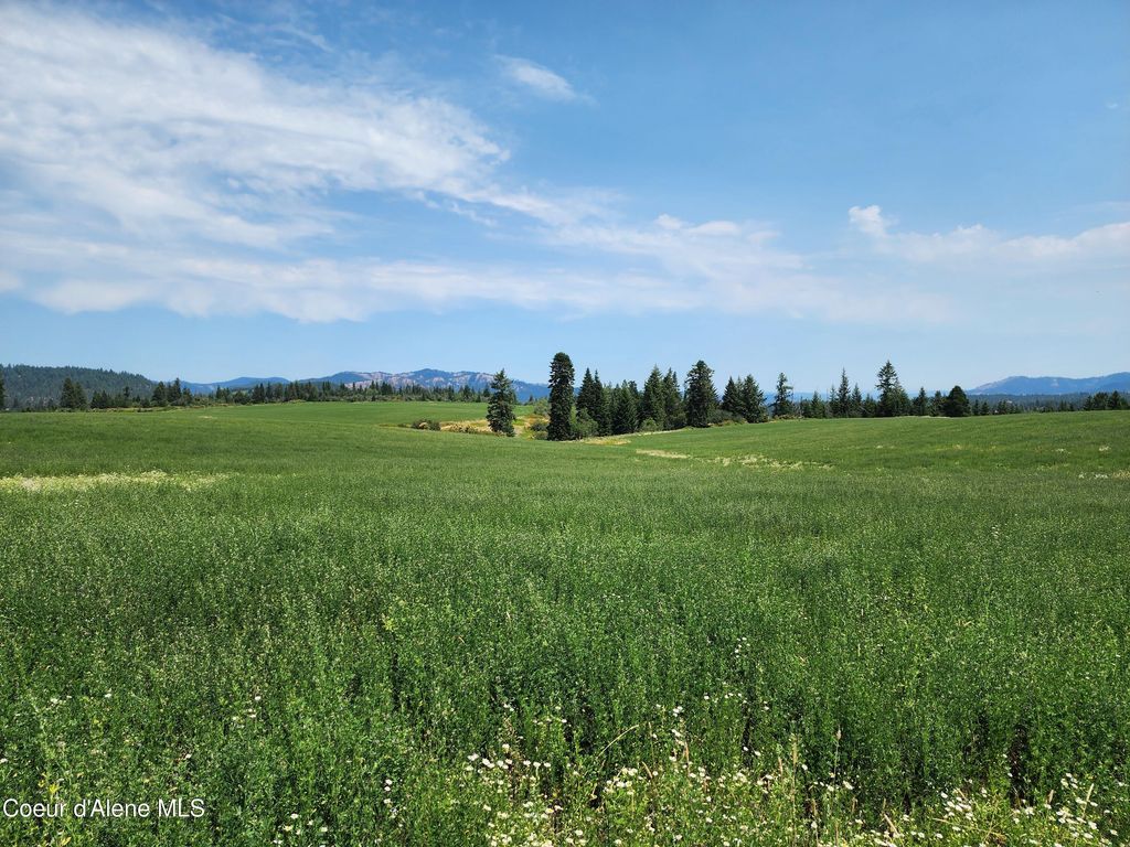 7375 E SUNRISE DR, Harrison, ID 83833 photo 35