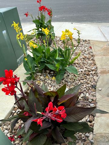 481 Middle Green, Floresville, TX 78114