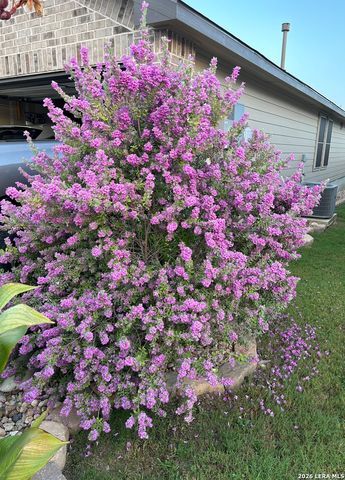 481 Middle Green, Floresville, TX 78114