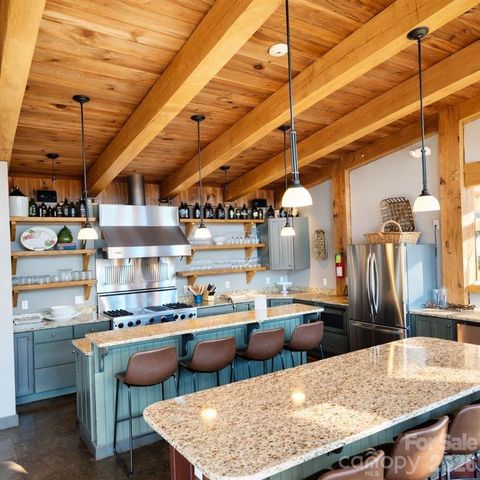 901 Wild River Run, Marshall, NC 28753