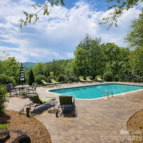 901 Wild River Run, Marshall, NC 28753