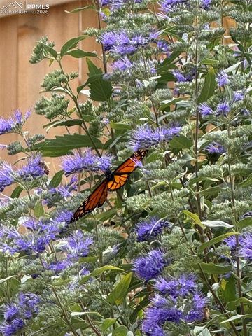 2590 Silent Rain Drive, Colorado Springs, CO 80919