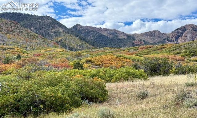 2590 Silent Rain Drive, Colorado Springs, CO 80919