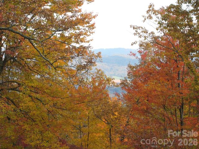 131 N Forge Crest Drive, Mills River, NC 28759