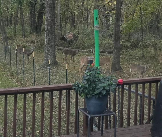 1685 NW 785th Road, Bates City, MO 64011