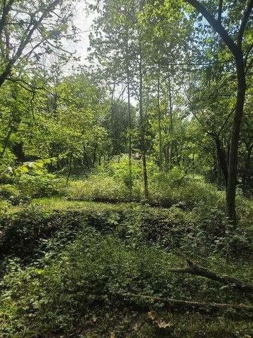 1685 NW 785th Road, Bates City, MO 64011