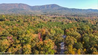 103 Cherokee Path, Tellico Plains, TN 37385