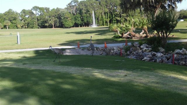 87 N BOBWHITE ROAD, Wildwood, FL 34785