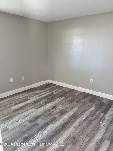 13105 Hanley Drive, Spring Hill, FL 34609