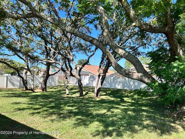 13105 Hanley Drive, Spring Hill, FL 34609