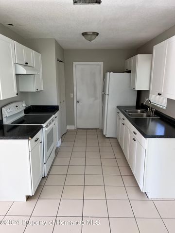 13105 Hanley Drive, Spring Hill, FL 34609