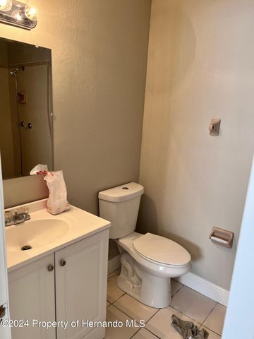 13105 Hanley Drive, Spring Hill, FL 34609