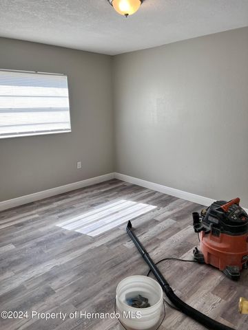 13105 Hanley Drive, Spring Hill, FL 34609
